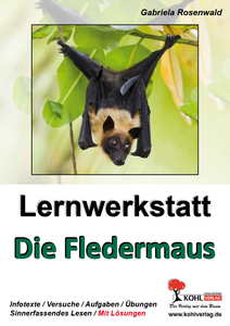 Biologie. Die Fledermaus