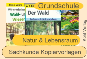 Sachkunde Kopiervorlagen. Natur & Lebensraum