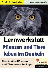Pflanzen und Tiere leben im Dunkeln. Kopiervorlagen Sachunterricht Kopiervorlagen vom Kohl Verlag