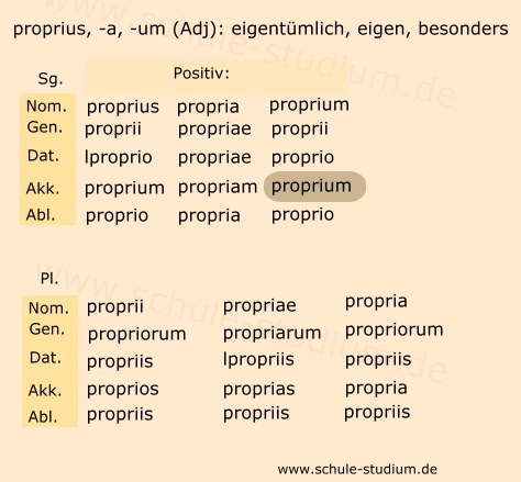 Bellum Gallicum: Hoc proprium virtutis existimant  ...