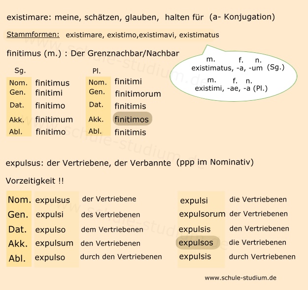 Bellum Gallicum: Hoc proprium virtutis existimant  ...