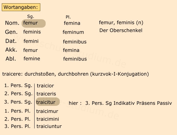 Bellum Gallicum 5. Buch Wortangaben