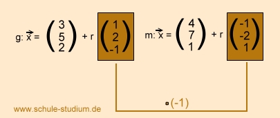 Analytische Geometrie und lineare Algebra: Parallele und identische Geraden