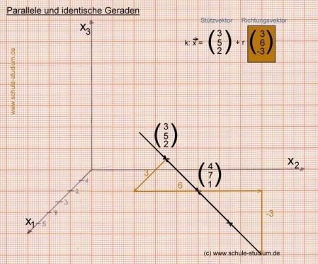 Analytische Geometrie und lineare Algebra: Parallele und identische Geraden