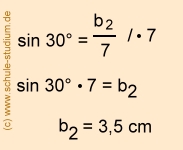  Berechnungen am Dreieck mit Hilfe des Sinus