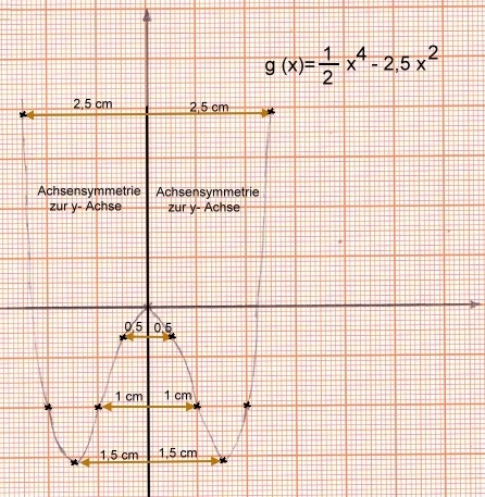 Symmetrie bei ganzrationalen Funktionen