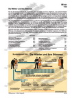 Schaubilder Wirtschaft und Politik