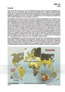 Schaubilder Wirtschaft & Politik