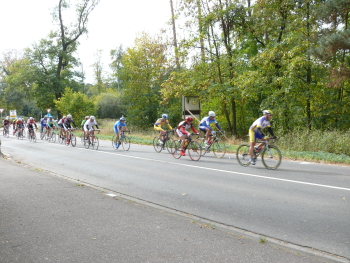 Radrennen in der Südpfalz