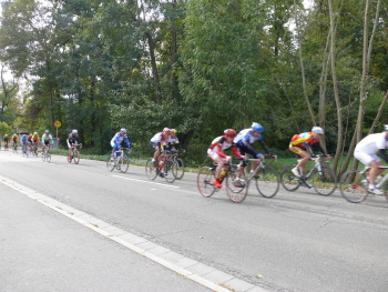 Radrennen in der Südpfalz