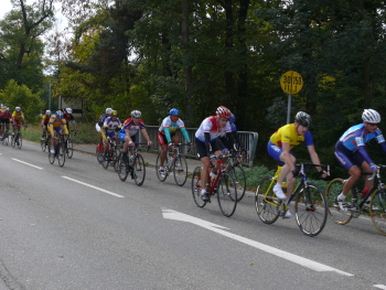 Radrennen in der Südpfalz