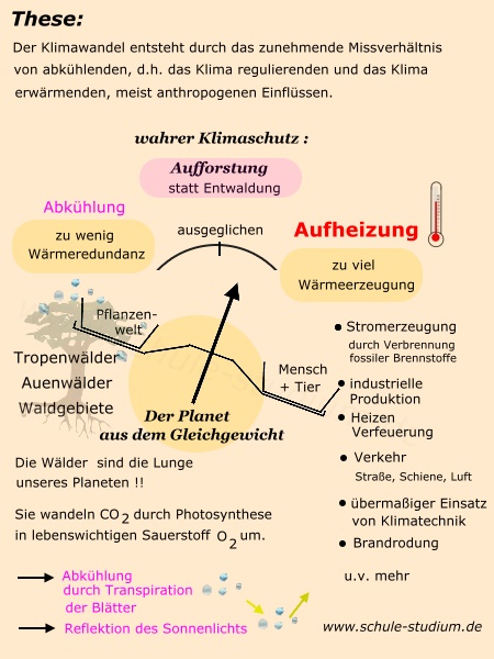 Klimawandel durch Abholzung und Entwaldung großer Waldgebiete weltweit