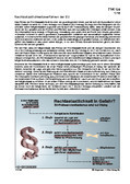 Schaubilder, Diagramme, Tabellen und Illustrationen zu Wirtschaft und Politik