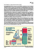 Schaubilder, Diagramme, Tabellen und Illustrationen zu Wirtschaft und Politik