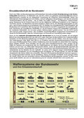 Schaubilder, Diagramme, Tabellen und Illustrationen zu Wirtschaft und Politik