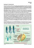 Schaubilder, Diagramme, Tabellen und Illustrationen zu Wirtschaft und Politik