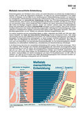 Schaubilder, Diagramme, Tabellen und Illustrationen zu Wirtschaft und Politik