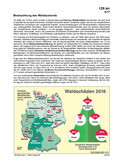 Schaubilder, Diagramme, Tabellen und Illustrationen zu Wirtschaft und Politik