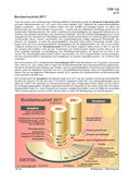 Schaubilder, Diagramme, Tabellen und Illustrationen zu Wirtschaft und Politik