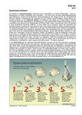 Schaubilder, Diagramme, Tabellen und Illustrationen zu Wirtschaft und Politik