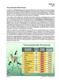 Schaubilder, Diagramme, Tabellen und Illustrationen zu Wirtschaft und Politik