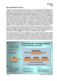 Schaubilder, Diagramme, Tabellen und Illustrationen zu Wirtschaft und Politik