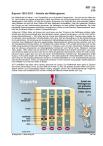 Schaubilder, Diagramme, Tabellen und Illustrationen zu Wirtschaft und Politik