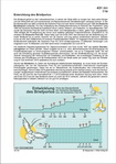 Schaubilder, Diagramme, Tabellen und Illustrationen zu Wirtschaft und Politik