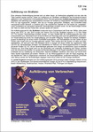 Schaubilder, Diagramme, Tabellen und Illustrationen zu Wirtschaft und Politik