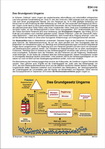 Schaubilder, Diagramme, Tabellen und Illustrationen zu Wirtschaft und Politik