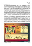 Schaubilder, Diagramme, Tabellen und Illustrationen zu Wirtschaft und Politik