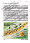 Schaubilder, Diagramme, Tabellen und Illustrationen zu Wirtschaft und Politik