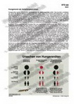 Schaubilder Wirtschaft und Politik