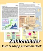 Zahlenbilder - Diagramme, Tabellen, Charts, Karten und Illustrationen