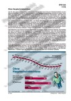 Schaubilder, Diagramme, Tabellen und Illustrationen zu Wirtschaft und Politik