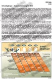 Schaubilder, Diagramme, Tabellen und Illustrationen zu Wirtschaft und Politik