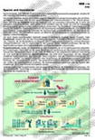 Schaubilder, Statistiken, Diagramme, Tabellen und Illustrationen: Einkommen/Vermögen/privater Konsum