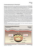 Deutschlands Ölimporte 1980 bis 2007 Schaubilder zu Wirtschaft und Politik