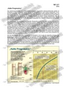 Kalte Progression Schaubilder zu Wirtschaft und Politik