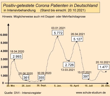 Corona Patienten auf Intensivstationen