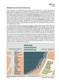 Schaubilder, Diagramme, Tabellen und Illustrationen zu Wirtschaft und Politik