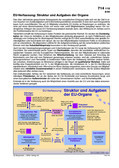 Schaubilder, Diagramme, Tabellen und Illustrationen zu Wirtschaft und Politik