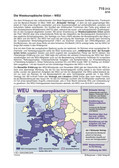 Schaubilder, Diagramme, Tabellen und Illustrationen zu Wirtschaft und Politik