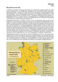 Schaubilder, Diagramme, Tabellen und Illustrationen zu Wirtschaft und Politik