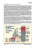 Schaubilder, Diagramme, Tabellen und Illustrationen zu Wirtschaft und Politik