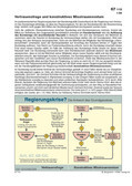 Schaubild: Vertrauensfrage und konstruktives Misstrauensvotum Schaubilder & Illustrationen zum Politischen System Deutschlands