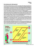 Schaubilder, Diagramme und Illustrationen. Themen Renten, Rentenversicherung, Rentensystem