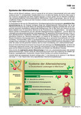 Schaubilder, Diagramme und Illustrationen. Themen Renten, Rentenversicherung, Rentensystem