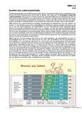 Schaubilder, Diagramme und Illustrationen. Themen Renten, Rentenversicherung, Rentensystem