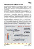 Bruttomonatsverdienste von Männern und Frauen Schaubilder, Diagramme, Tabellen und Illustrationen zu Wirtschaft und Politik